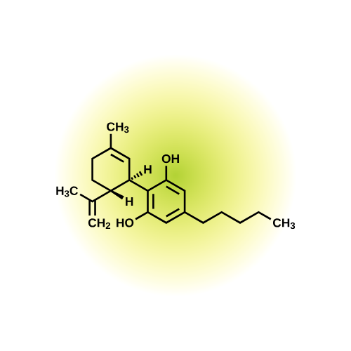 CBD Bioavailability Battle: Gummies vs. Tinctures - What You Need to Know
