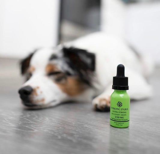 Strong Paws Blend (up to 2,000mg)