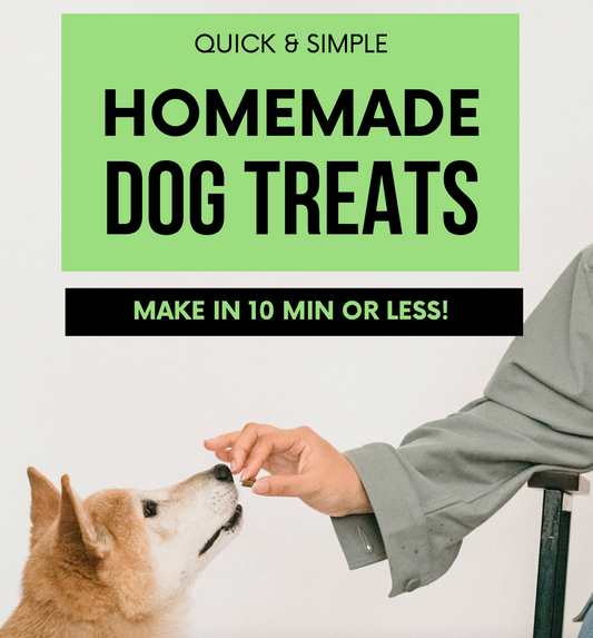 E-Book Dog Treat Recipes