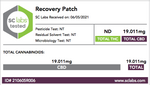 Transdermal Recovery Patches