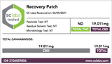 Transdermal Recovery Patches