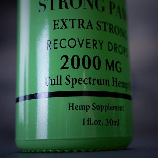 Strong Paws Recovery Drops, 2000mg